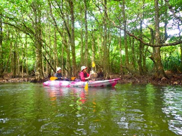 西表島 ADVENTURE PiPi（アドベンチャーピピ）に投稿された画像（2021/5/9）