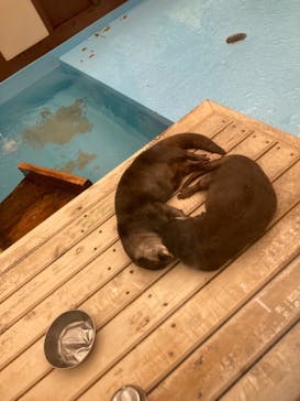 ゼロ距離水族館 伊勢シーパラダイスに投稿された画像（2021/5/9）