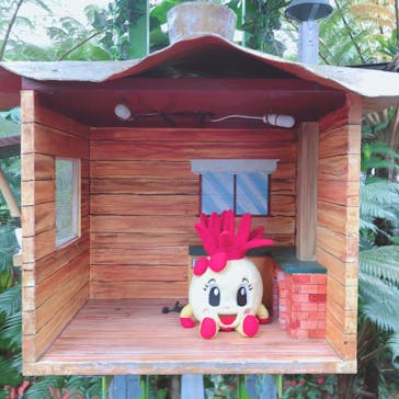 ナゴパイナップルパークに投稿された画像（2021/5/9）