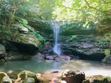 西表島 ADVENTURE PiPi（アドベンチャーピピ）に投稿された画像（2021/5/9）