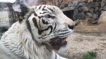 東武動物公園に投稿された画像（2021/5/9）