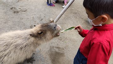 那須どうぶつ王国に投稿された画像（2021/5/9）