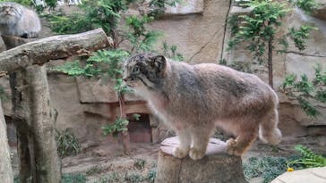 那須どうぶつ王国に投稿された画像（2021/5/9）