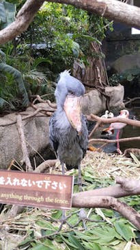 那須どうぶつ王国に投稿された画像（2021/5/9）