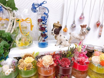 ずこうしつ〜sugamo〜に投稿された画像（2021/5/9）