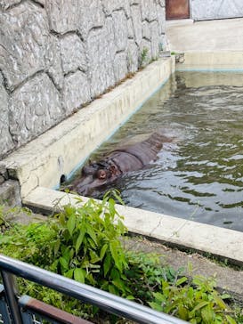東武動物公園に投稿された画像（2021/5/9）