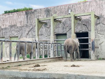 東武動物公園に投稿された画像（2021/5/9）