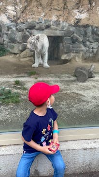 東武動物公園に投稿された画像（2021/5/9）