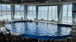 アクアワールド茨城県大洗水族館に投稿された画像（2021/5/9）