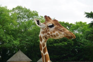 東武動物公園に投稿された画像（2021/5/9）