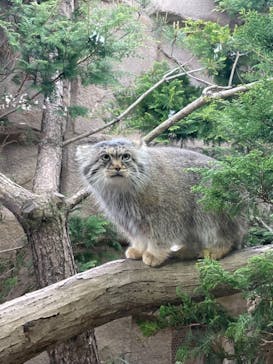 那須どうぶつ王国に投稿された画像（2021/5/9）