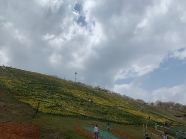 びわ湖バレイに投稿された画像（2021/5/9）