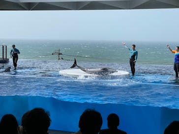 上越市立水族博物館 うみがたりに投稿された画像（2021/5/9）