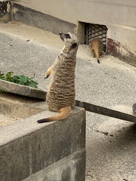 東武動物公園に投稿された画像（2021/5/9）