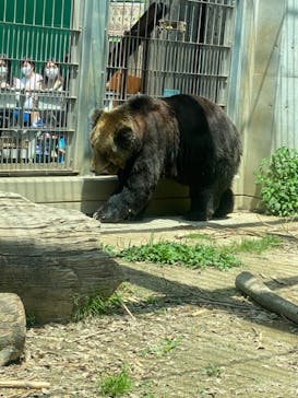 東武動物公園に投稿された画像（2021/5/9）