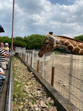 東武動物公園に投稿された画像（2021/5/9）