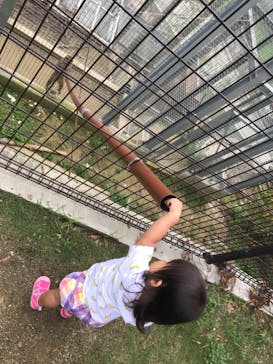 しろとり動物園に投稿された画像（2021/5/9）