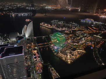 横浜ランドマークタワー 69階展望フロア スカイガーデンに投稿された画像（2021/5/9）