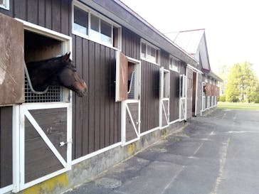 ノーザンホースパークに投稿された画像（2021/5/9）