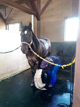 ノーザンホースパークに投稿された画像（2021/5/9）