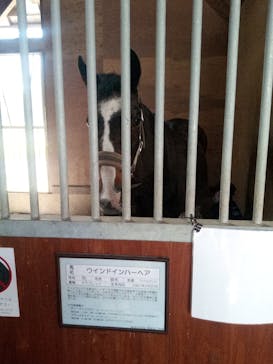 ノーザンホースパークに投稿された画像（2021/5/9）