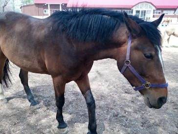 ノーザンホースパークに投稿された画像（2021/5/9）