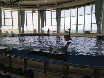 アクアワールド茨城県大洗水族館に投稿された画像（2021/5/9）