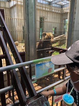 東武動物公園に投稿された画像（2021/5/9）