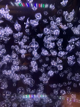 アクアワールド茨城県大洗水族館に投稿された画像（2021/5/9）