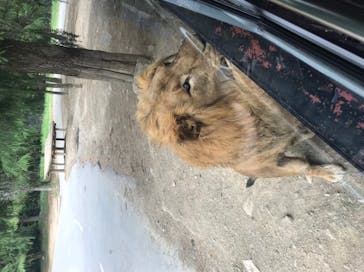 群馬サファリパークに投稿された画像（2021/5/9）