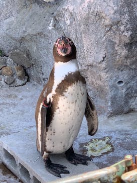 東武動物公園に投稿された画像（2021/5/9）