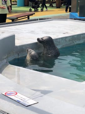 南知多ビーチランド＆南知多おもちゃ王国に投稿された画像（2021/5/10）