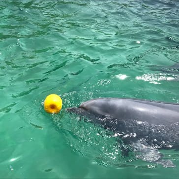 南知多ビーチランド＆南知多おもちゃ王国に投稿された画像（2021/5/10）