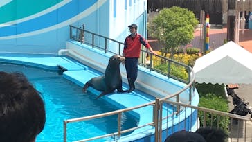 南知多ビーチランド＆南知多おもちゃ王国に投稿された画像（2021/5/10）