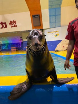 ゼロ距離水族館 伊勢シーパラダイスに投稿された画像（2021/5/10）