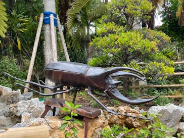 ナゴパイナップルパークに投稿された画像（2021/5/10）