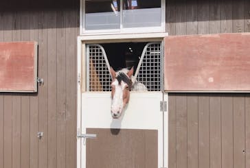 ノーザンホースパークに投稿された画像（2021/5/10）