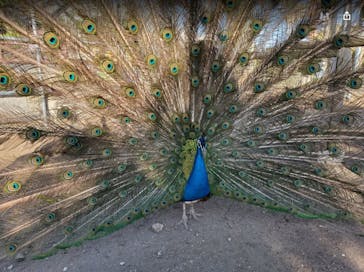 アロハガーデンたてやまに投稿された画像（2021/5/10）