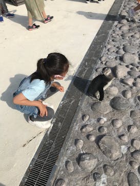 横浜・八景島シーパラダイスに投稿された画像（2021/5/10）