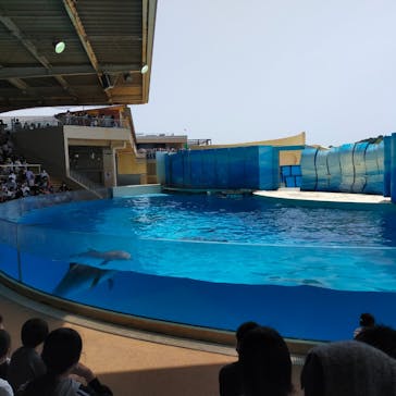 新江ノ島水族館に投稿された画像（2021/5/10）