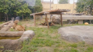 東武動物公園に投稿された画像（2021/5/10）