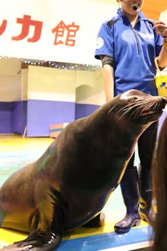 ゼロ距離水族館 伊勢シーパラダイスに投稿された画像（2021/5/10）