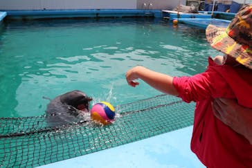 ゼロ距離水族館 伊勢シーパラダイスに投稿された画像（2021/5/10）