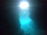 武藤潜水に投稿された画像（2021/5/11）