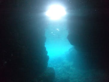 武藤潜水に投稿された画像（2021/5/11）