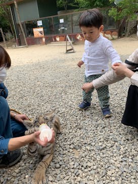 しろとり動物園に投稿された画像（2021/5/11）