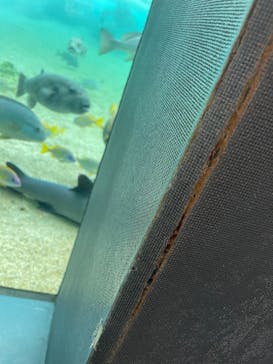 横浜・八景島シーパラダイスに投稿された画像（2021/5/11）