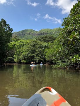 西表島 ADVENTURE PiPi（アドベンチャーピピ）に投稿された画像（2021/5/11）