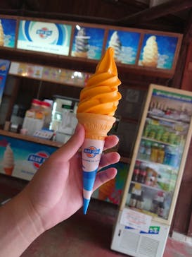 おきなわワールドに投稿された画像（2021/5/11）