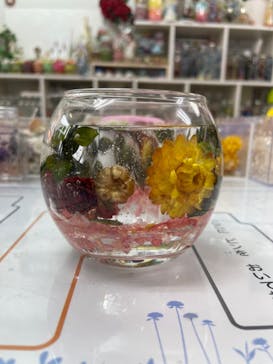 ずこうしつ〜sugamo〜に投稿された画像（2021/5/12）